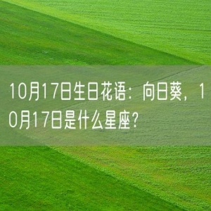 10月17日生日花语：向日葵，10月17日是什么星座？
