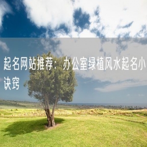 起名网站推荐：办公室绿植风水起名小诀窍
