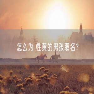 怎么为 性黄的男孩取名？