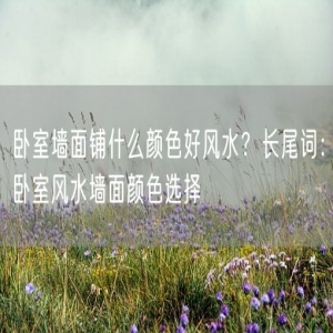 卧室墙面铺什么颜色好风水？长尾词：卧室风水墙面颜色选择