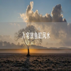 入宅放鱼缸风水