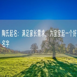陶氏起名：满足家长需求，为宝宝起一个好名字