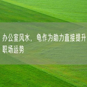 办公室风水，龟作为助力直接提升职场运势