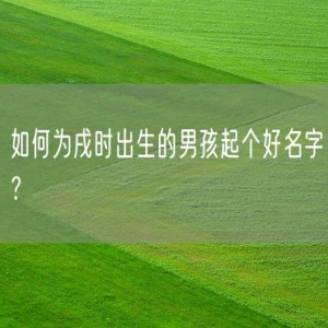 如何为戌时出生的男孩起个好名字？