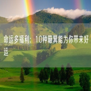 命运多福利:10种簸箕能为你带来好运