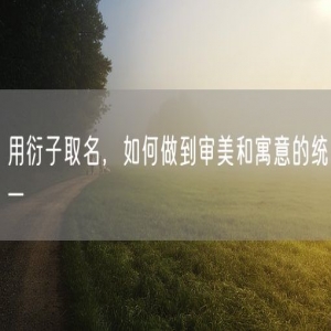 用衍子取名，如何做到审美和寓意的统一