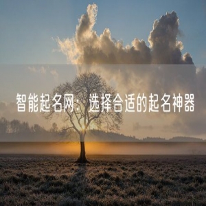 智能起名网：选择合适的起名神器