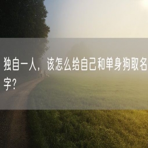 独自一人，该怎么给自己和单身狗取名字？
