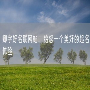 卿字好名联网站：给您一个美好的起名体验