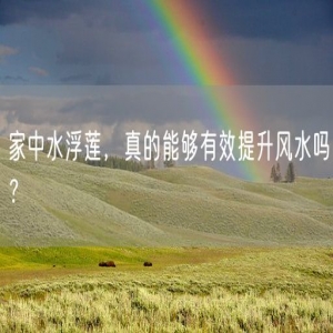 家中水浮莲，真的能够有效提升风水吗？