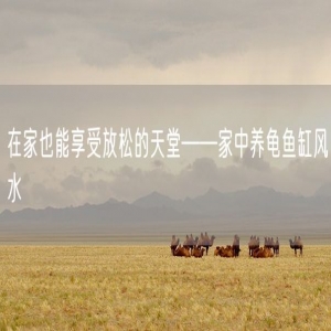 在家也能享受放松的天堂——家中养龟鱼缸风水