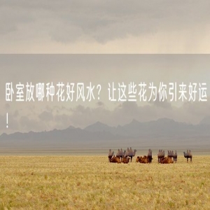卧室放哪种花好风水？让这些花为你引来好运！