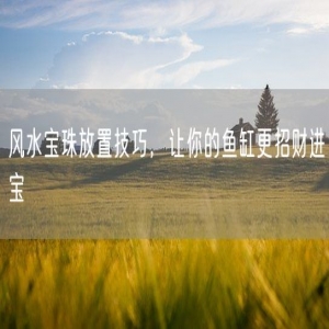 风水宝珠放置技巧，让你的鱼缸更招财进宝