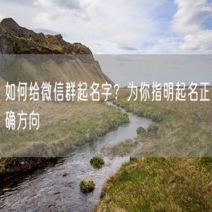 如何给微信群起名字？为你指明起名正确方向