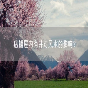 店铺屋内有井对风水的影响？
