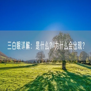 三白眼详解:是什么?为什么会出现?