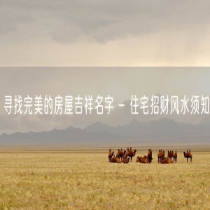寻找完美的房屋吉祥名字 - 住宅招财风水须知
