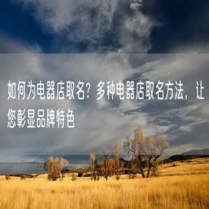如何为电器店取名？多种电器店取名方法，让您彰显品牌特色