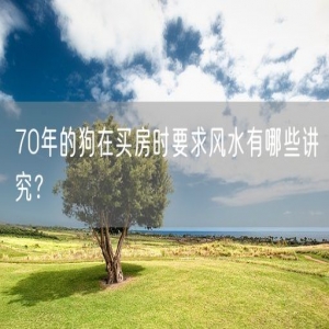 70年的狗在买房时要求风水有哪些讲究？