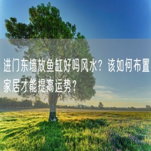 进门东墙放鱼缸好吗风水？该如何布置家居才能提高运势？