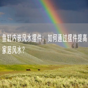 鱼缸内嵌风水摆件：如何通过摆件提高家居风水？