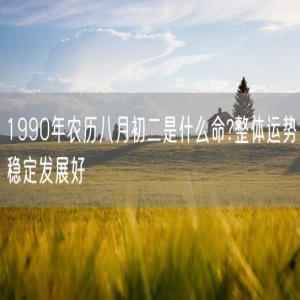 1990年农历八月初二是什么命?整体运势稳定发展好