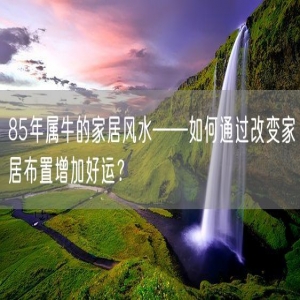 85年属牛的家居风水——如何通过改变家居布置增加好运？