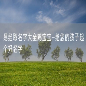 易经取名字大全鸡宝宝-给您的孩子起个好名字