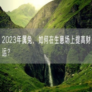 2023年属兔，如何在生意场上提高财运？