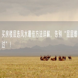 买房楼层选风水最佳方法详解，告别“层层难过”！
