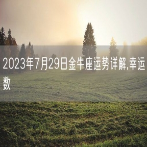 2023年7月29日金牛座运势详解,幸运数
