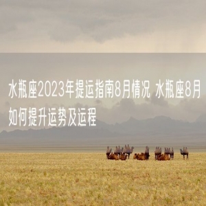 水瓶座2023年提运指南8月情况 水瓶座8月如何提升运势及运程