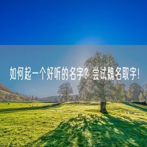 如何起一个好听的名字？尝试魏名取字！