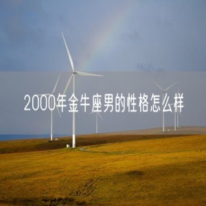 2000年金牛座男的性格怎么样