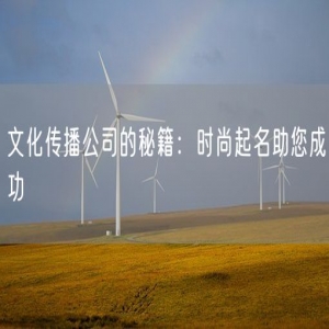 文化传播公司的秘籍：时尚起名助您成功
