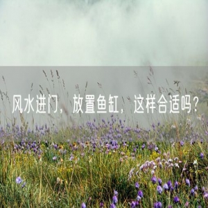风水进门，放置鱼缸，这样合适吗？