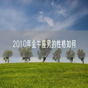 2010年金牛座男的性格如何