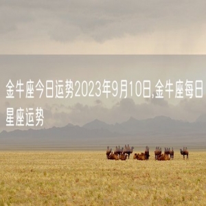 金牛座今日运势2023年9月10日,金牛座每日星座运势