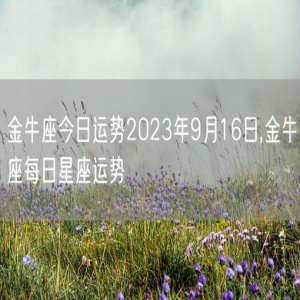 金牛座今日运势2023年9月16日,金牛座每日星座运势