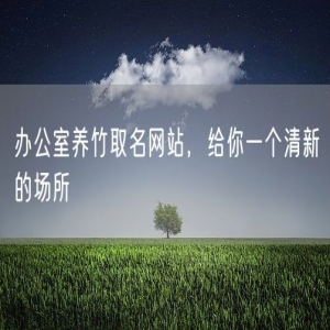 办公室养竹取名网站，给你一个清新的场所