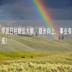 甲辰日柱财运大顺，稳步向上，事业有成！