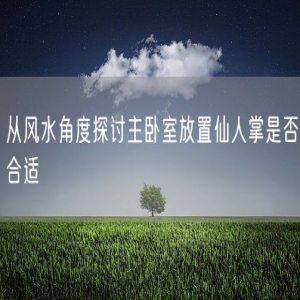 从风水角度探讨主卧室放置仙人掌是否合适
