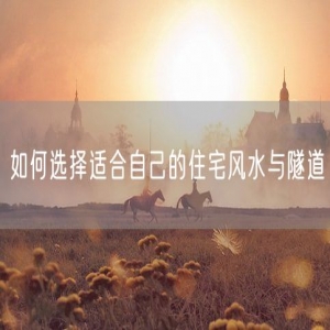 如何选择适合自己的住宅风水与隧道