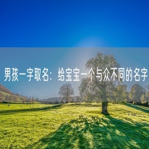 男孩一字取名：给宝宝一个与众不同的名字