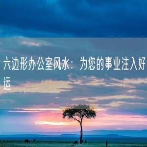 六边形办公室风水：为您的事业注入好运