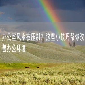 办公室风水被压制？这些小技巧帮你改善办公环境