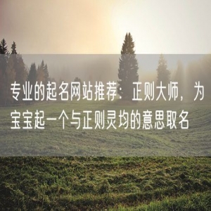 专业的起名网站推荐：正则大师，为宝宝起一个与正则灵均的意思取名