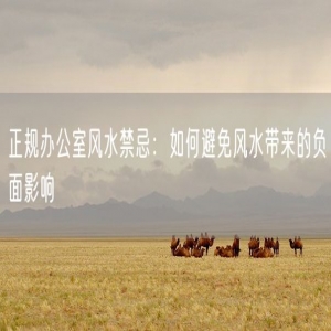 正规办公室风水禁忌：如何避免风水带来的负面影响