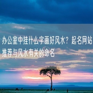 办公室中挂什么字画好风水？起名网站推荐与风水有关的命名