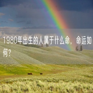 1980年出生的人属于什么命，命运如何？